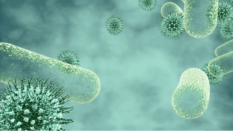 Wirusy i bakterie