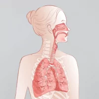  Drogi oddechowe 